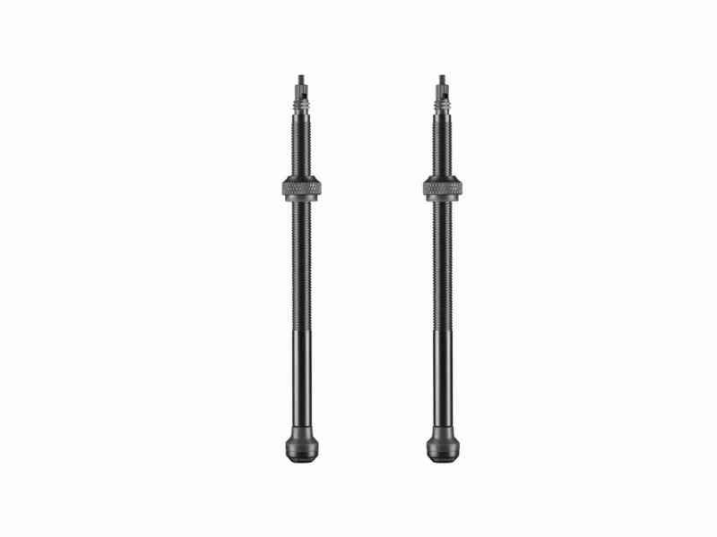 Schwalbe Tubeless ventil sæt - 2 stk. 100 mm