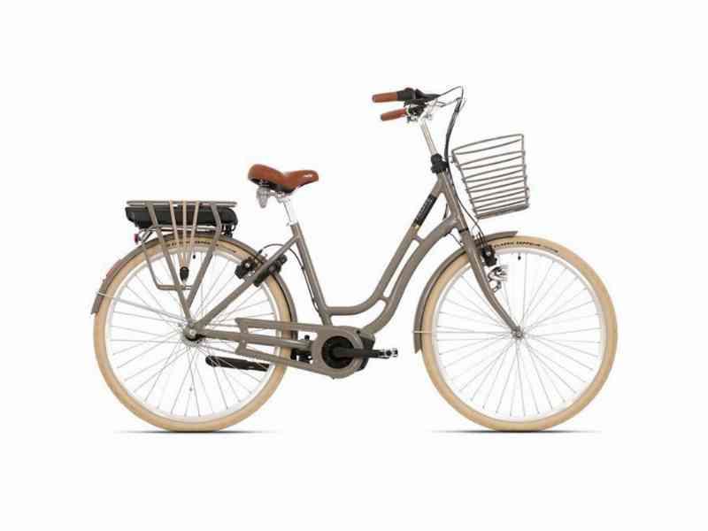 Frappé Bosch 200 - Brun 54 cm