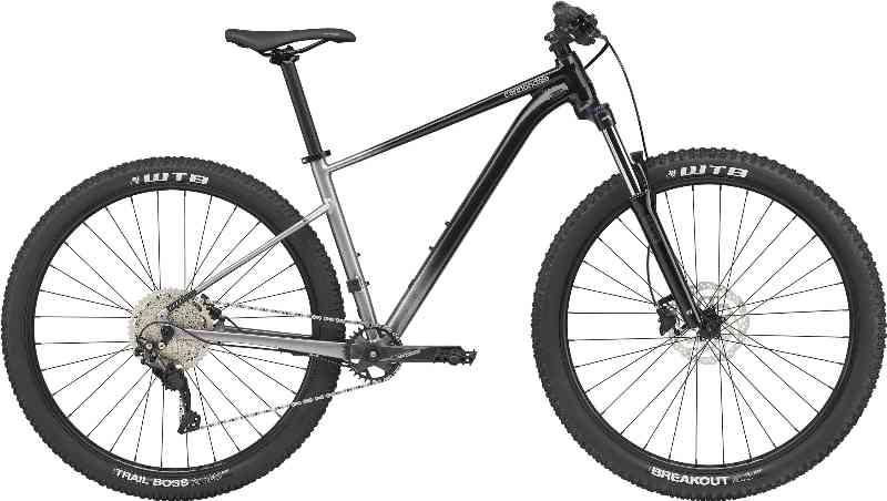 Cannondale 29 Trail SE 4 2022 - Grå/Sort Cykel
