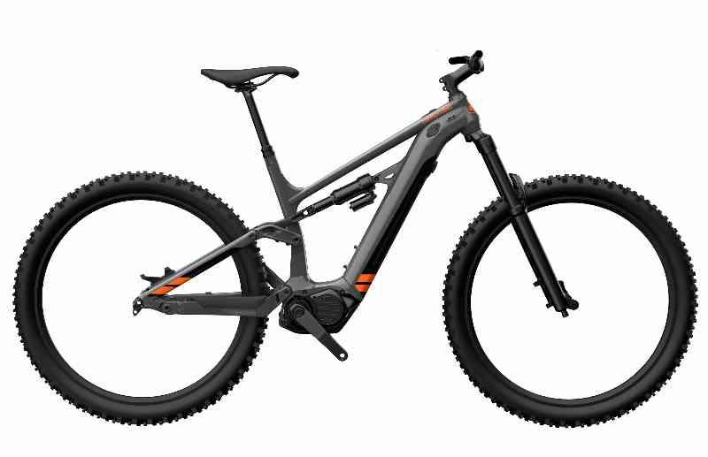 Cannondale Moterra Neo 4 29" 2022 - Grå