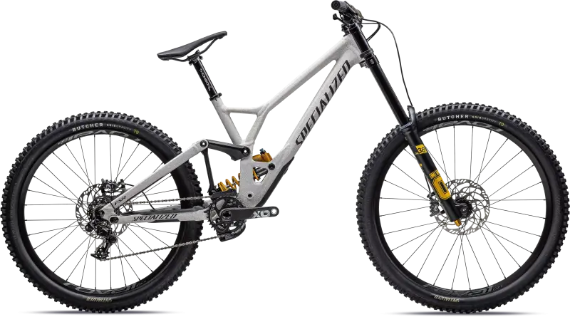 Specialized Demo Race 2024 - Grå Cykel