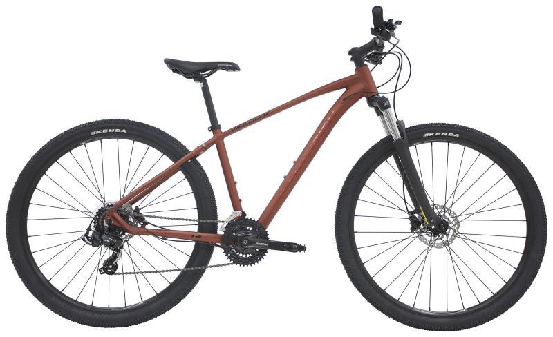 Centurion Violator MTB 29" 21g 2023 Brun
