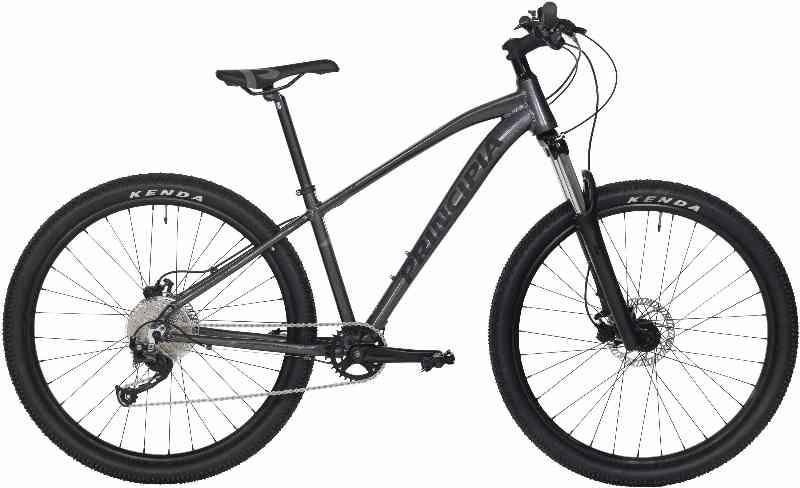 Principia A3.9 29" 9g 2023 - Grå Cykel