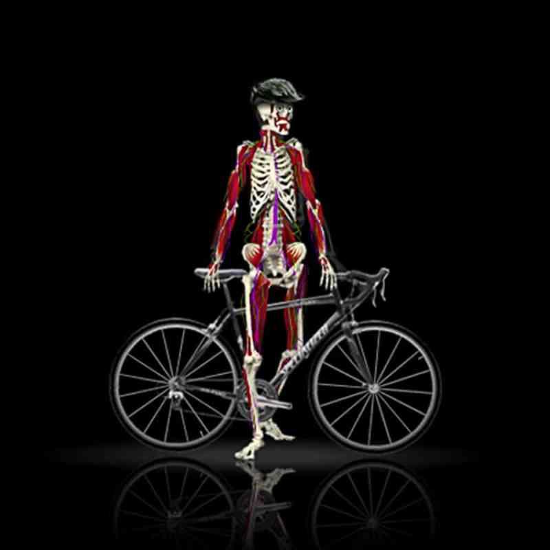 Dybdegående Body Geometry Pasform