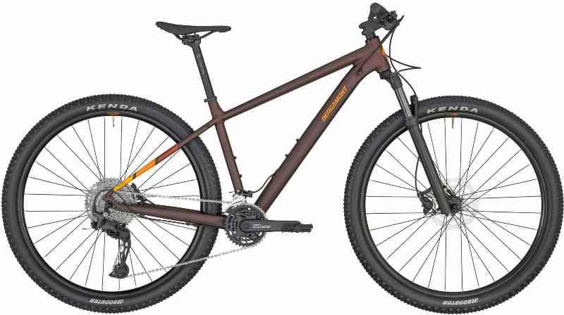 Bergamont Revox 7 2024