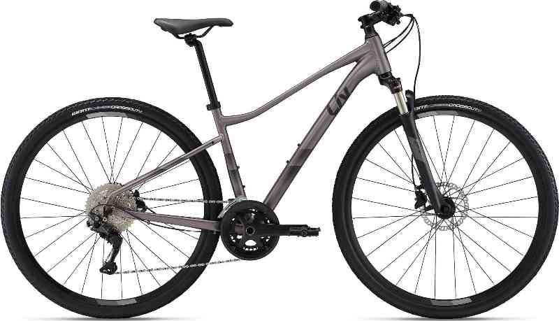Giant Liv Rove 1 2023 – Grå Cykel