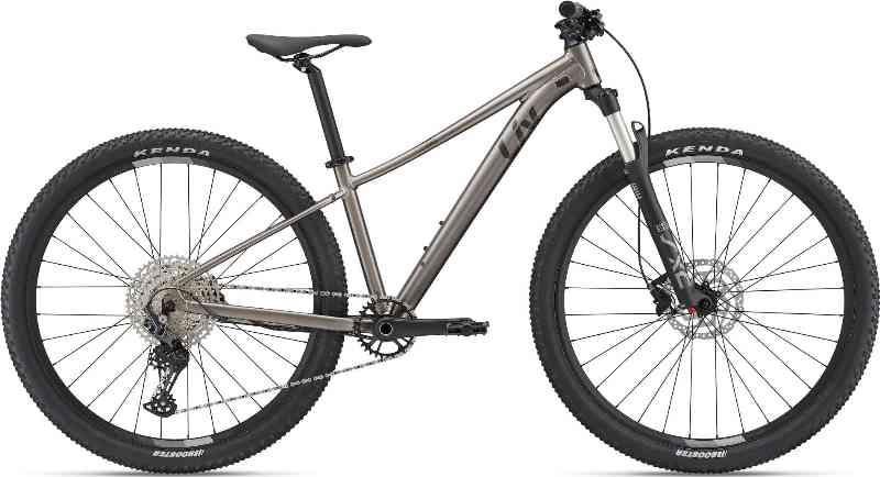 Giant Liv Tempt 29 0 2023 – Sølv og Grå Cykel