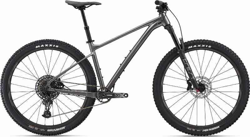 Giant Fathom 29 1 2023 - Grå/Sølv Mountainbike