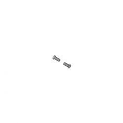 Shimano Pulley Bolt 2 Stk Rd-m8100 - Cykeldel