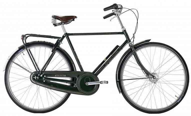 Raleigh Tourist de Luxe Herre 7g 2023 - Grøn Cykel