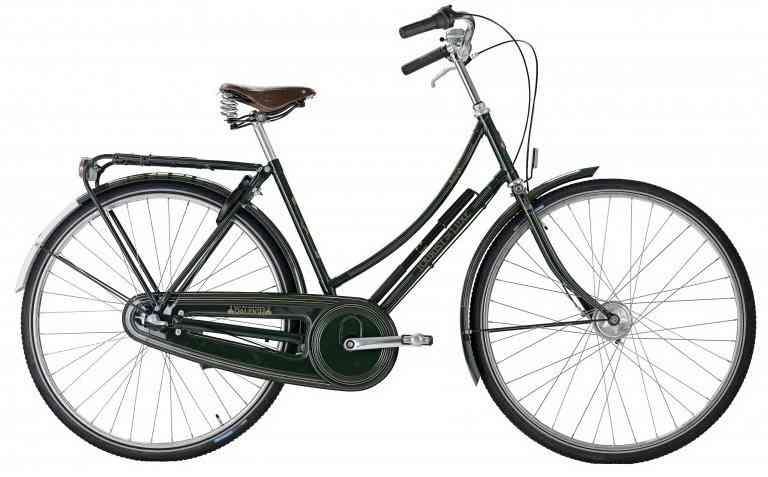 Raleigh Tourist de Luxe Dame 3g 2023 - Grøncykel