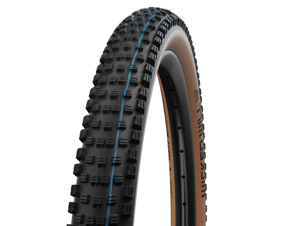 Wicked Will   Evolution Line Super Race Foldedæk  29x2,40 (62 622)e 50  Transparent fra Schwalbe