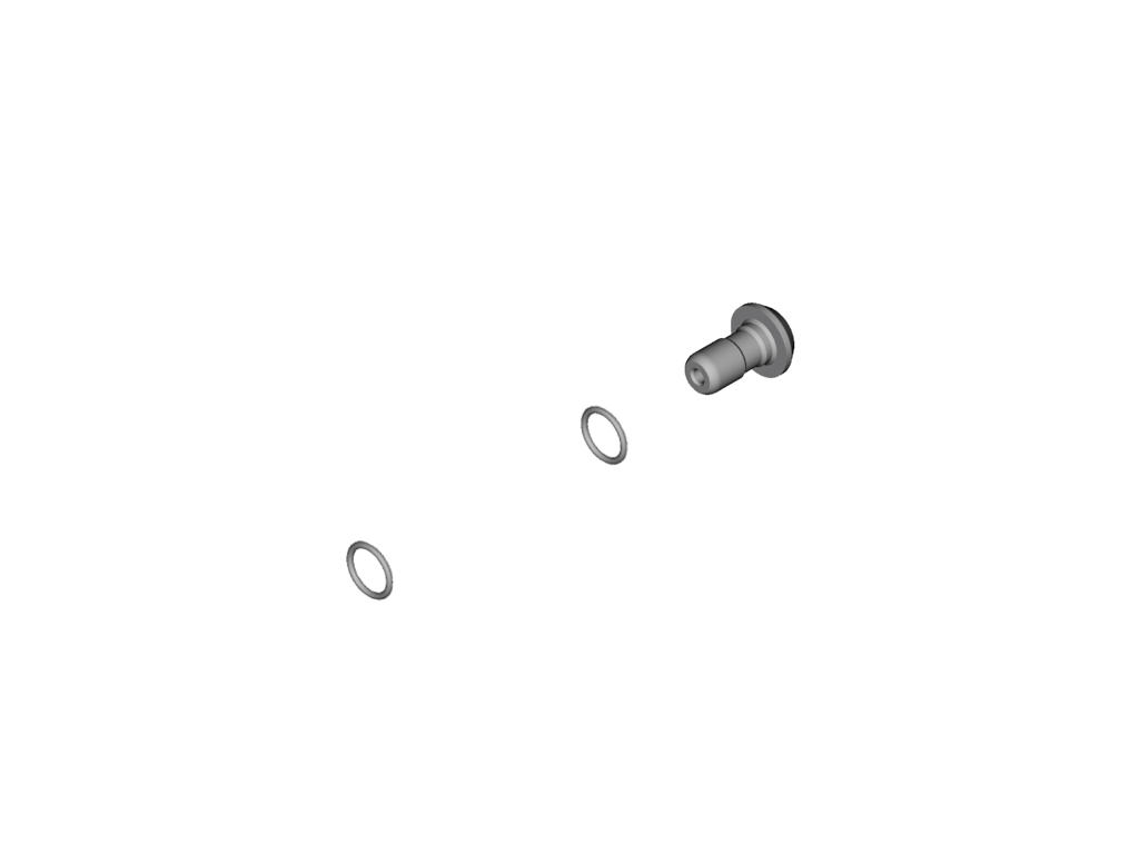 Xt Slx   Banjo Bolt Og O Ring For Breemsekaliber   Streight   M8100 fra Shimano