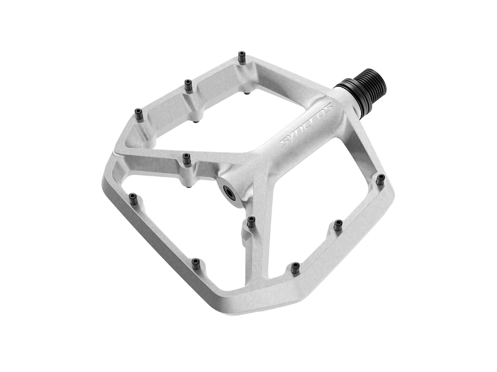 Squamish Ii Flats Pedaler Rå Aluminium fra Syncros