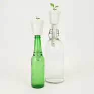 Botanical Bottles Bonsai   Plante fra Gift Republic