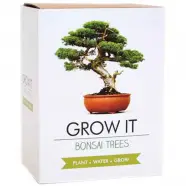 Grow It Kit Bonsai Trees Træ fra Gift Republic